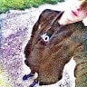 #Andrei «#Andrei Moter» Moter