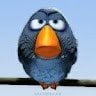 Sparrow «Sparrow» 