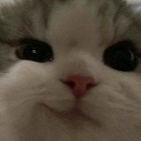 Denis D D A «nefilim6»