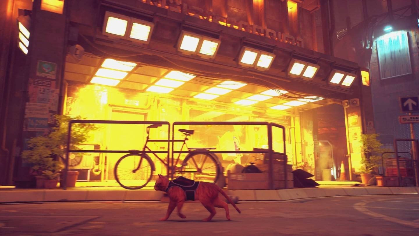 Игра Stray про рыжего кота получила первые оценки Это моя игра 2022 года