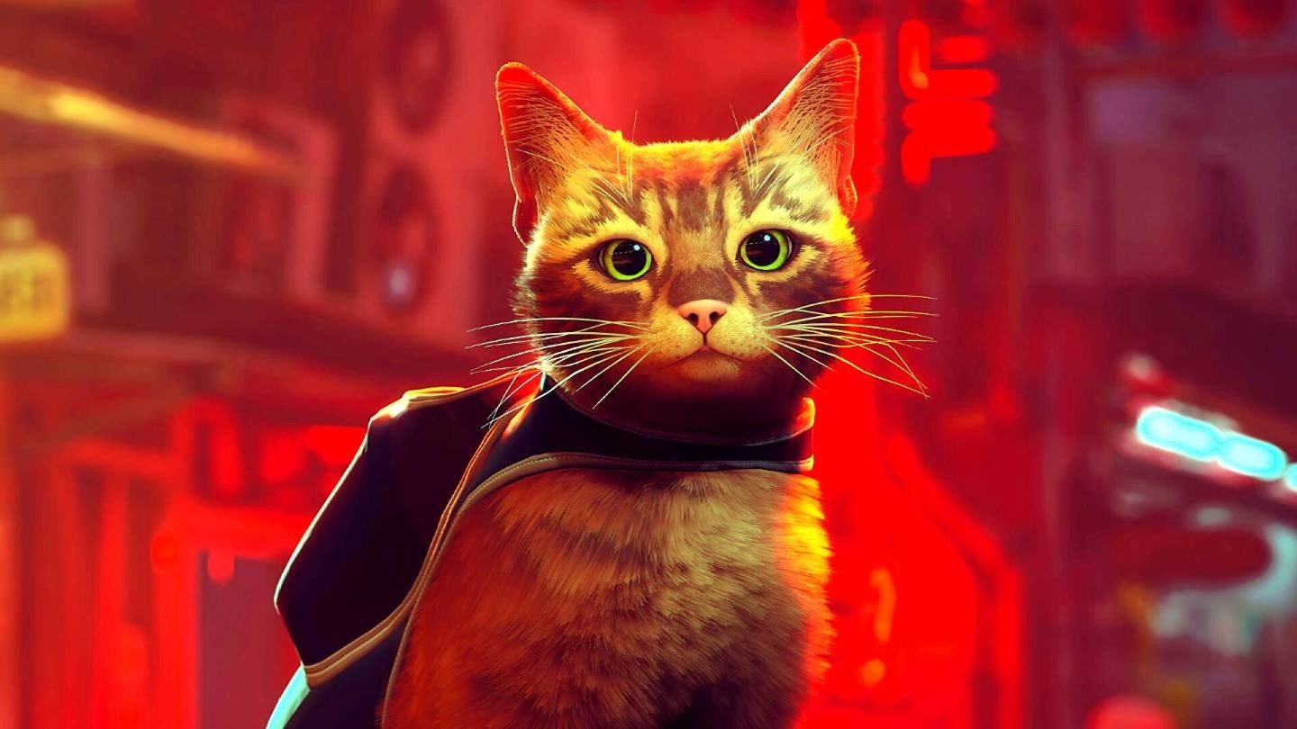 Stray стала лучшей игрой в Steam за 2022 год  ее рейтинг 861 балла