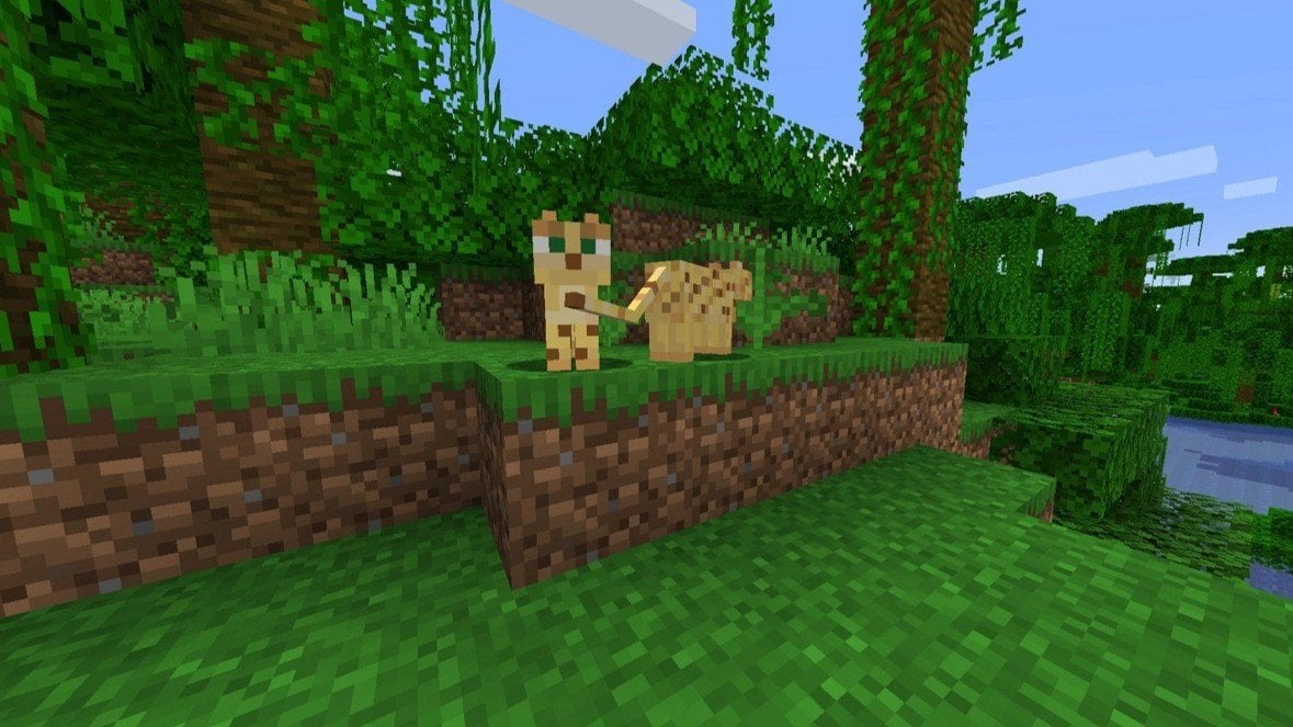 Оцелот в Minecraft места обитания как приручить
