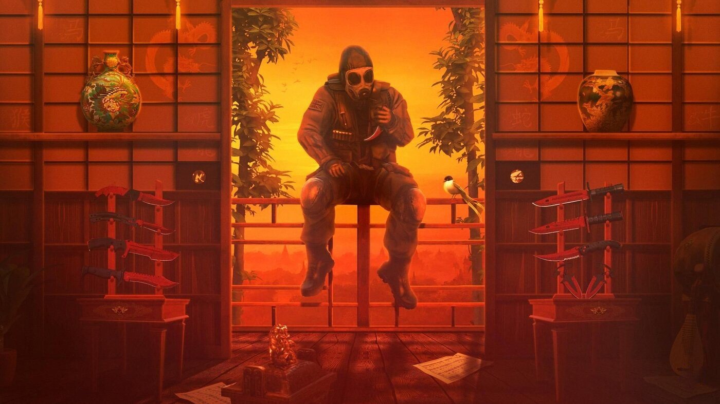 Китаец снял VACбан с аккаунта в CSGO и вернул свой инвентарь на 35 млн рублей