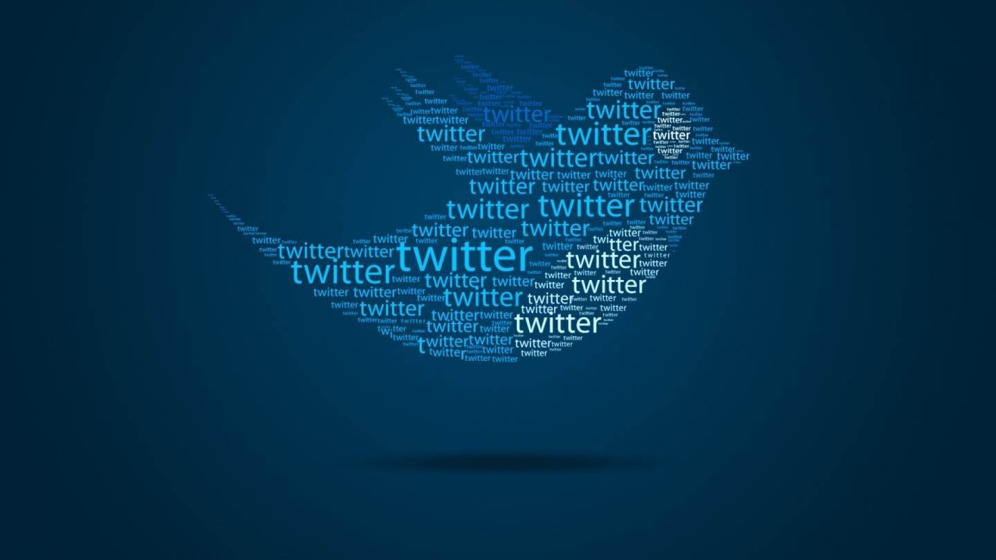 Илон Маск переименует Twitter  название удивило всех