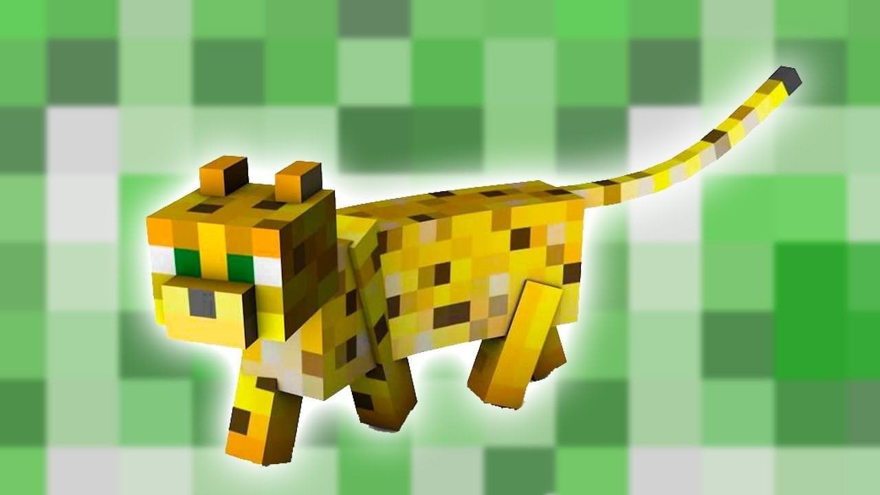 Как приручить кота в Minecraft