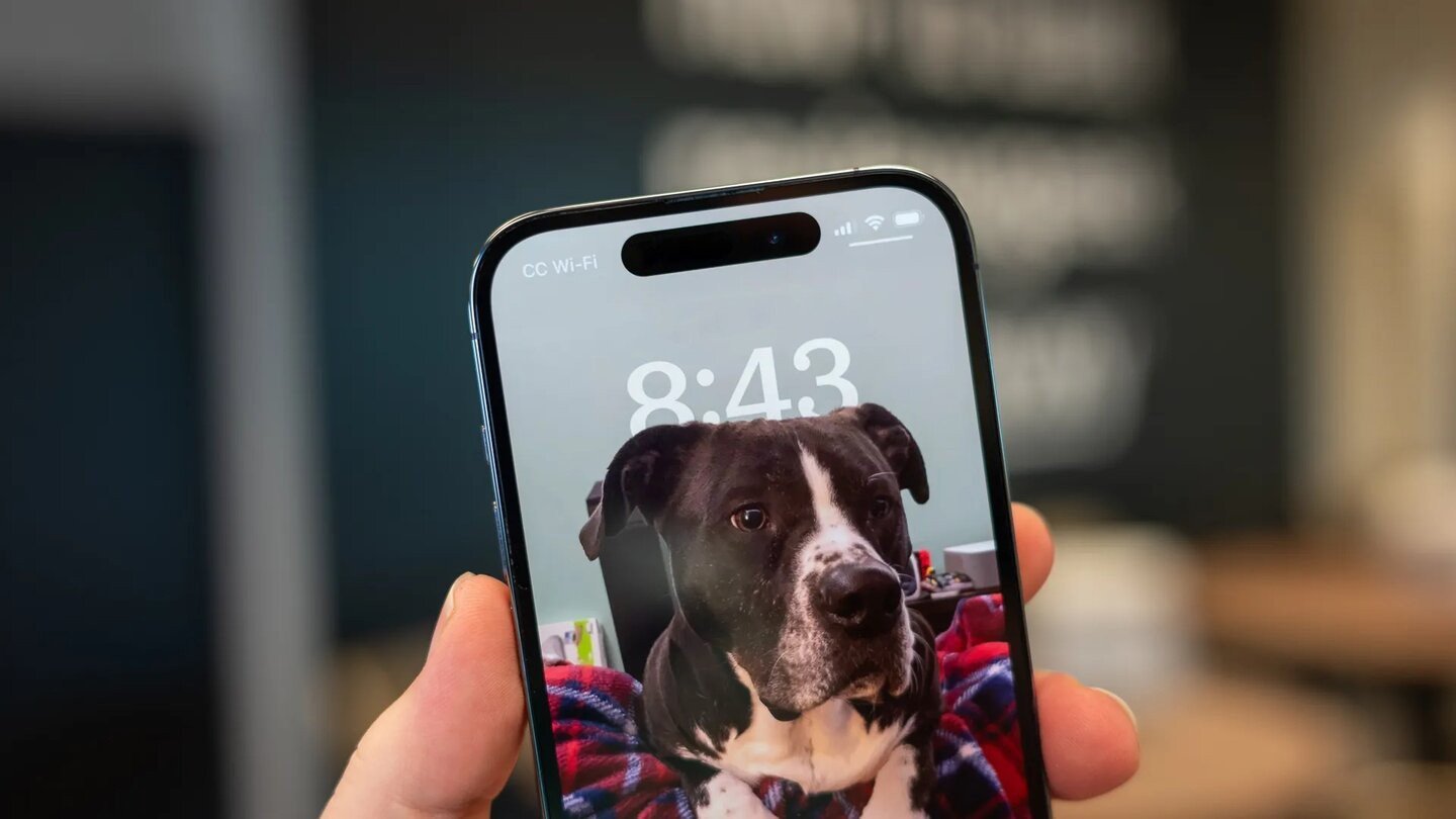 В iPhone 15 можно завести питомца  iOS 17 получила аналог тамагочи