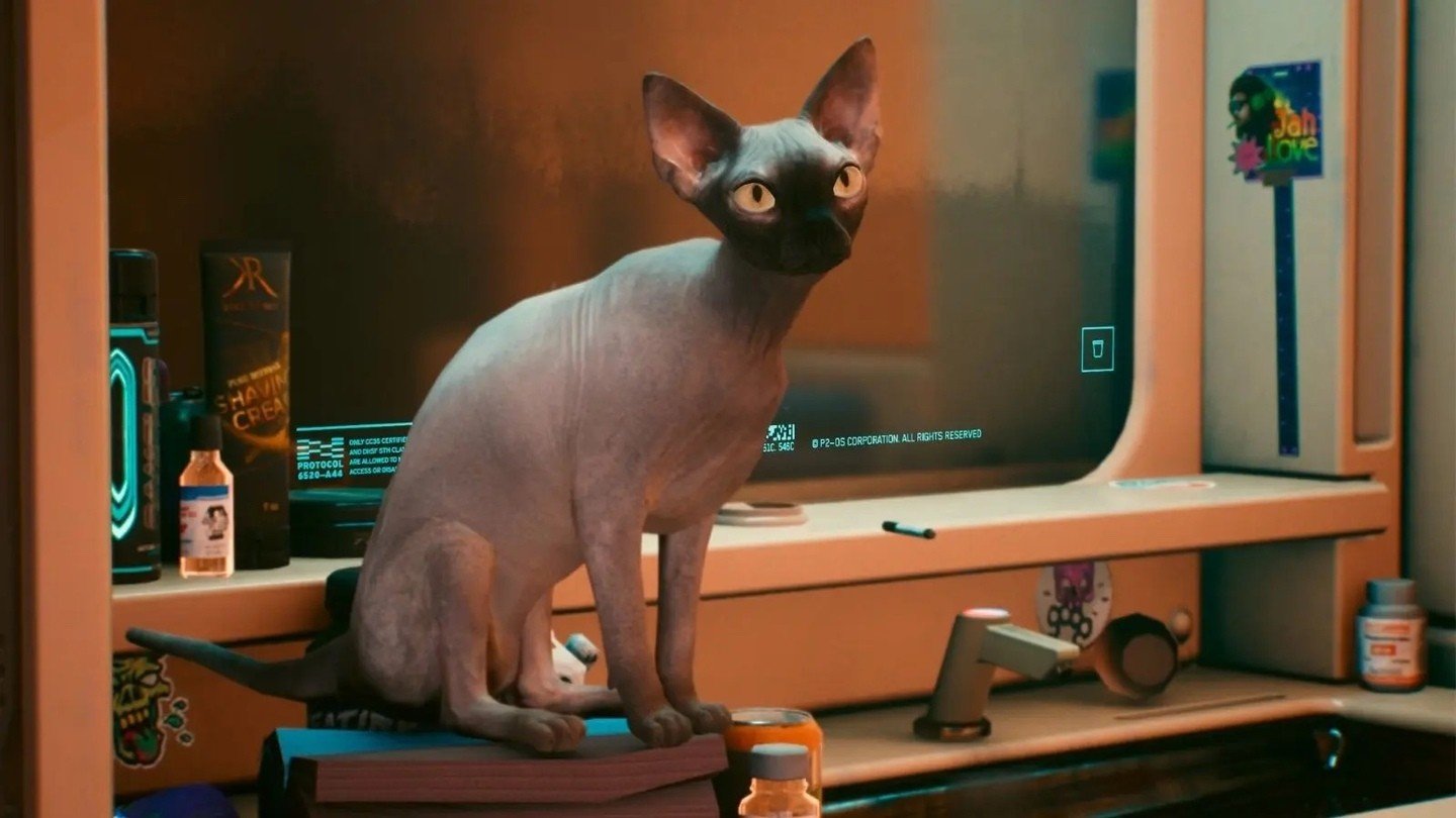 У кота из Cyberpunk 2077 могут быть проблемы с законом  во всем виноват баг
