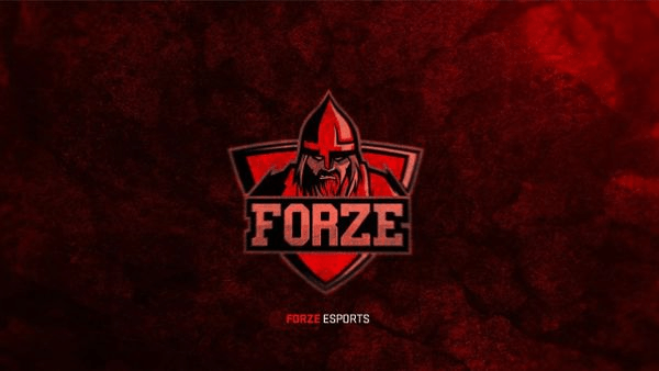 forZe обзавелась составом по Dota 2