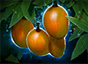 Все предметы вещи артефакты и итемы Dota 2 для героев с описанием