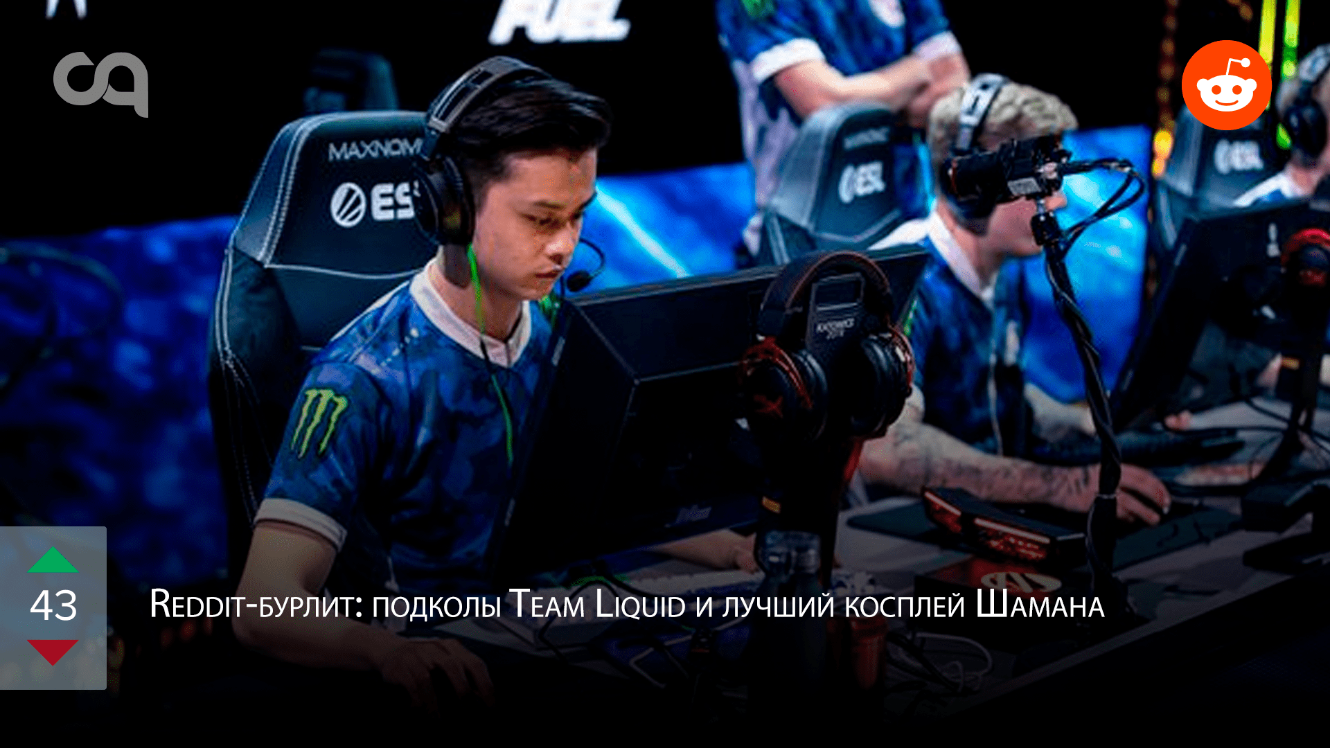 Redditбурлит подколы Team Liquid и лучший косплей Шамана