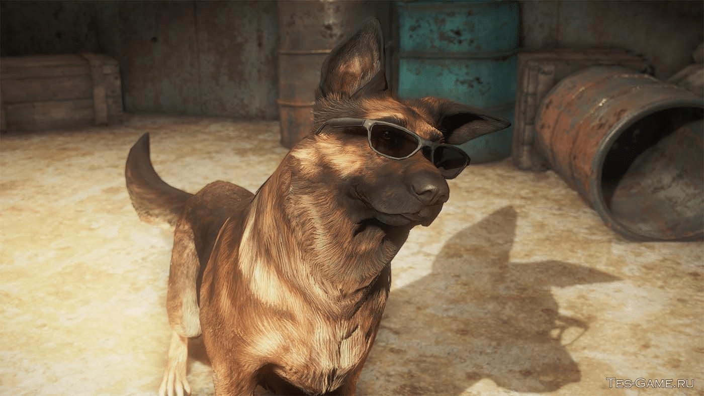 Deal with it