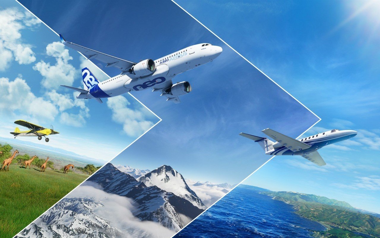 Microsoft Flight Simulator