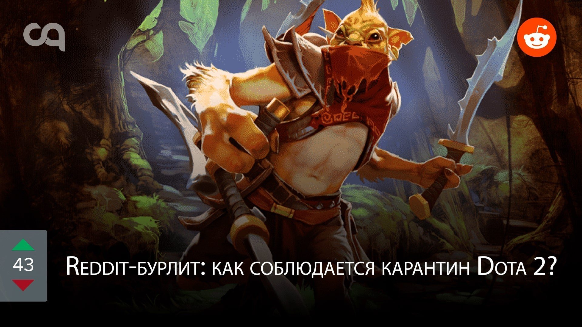 Redditбурлит как соблюдается карантин Dota 2