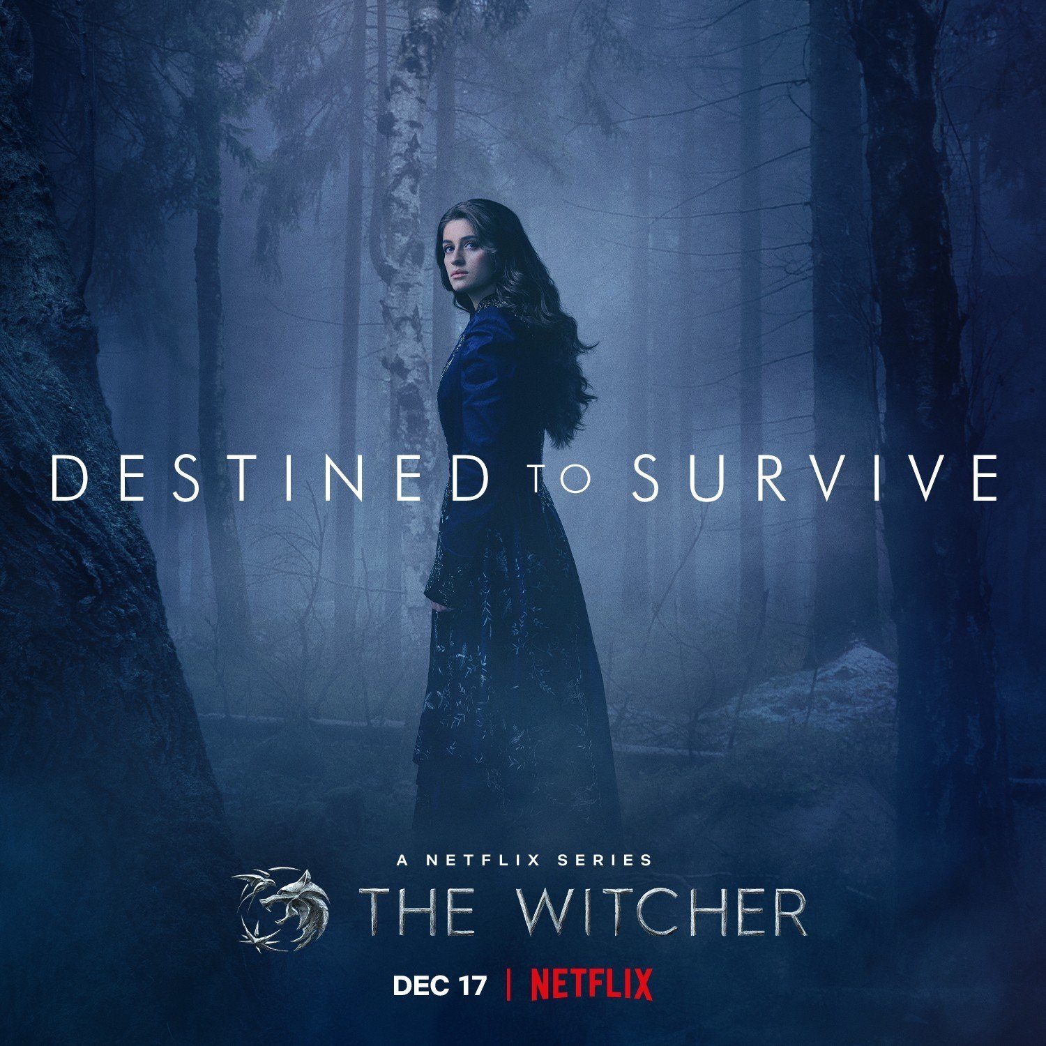 Источник фото: twitter.com/witchernetflix