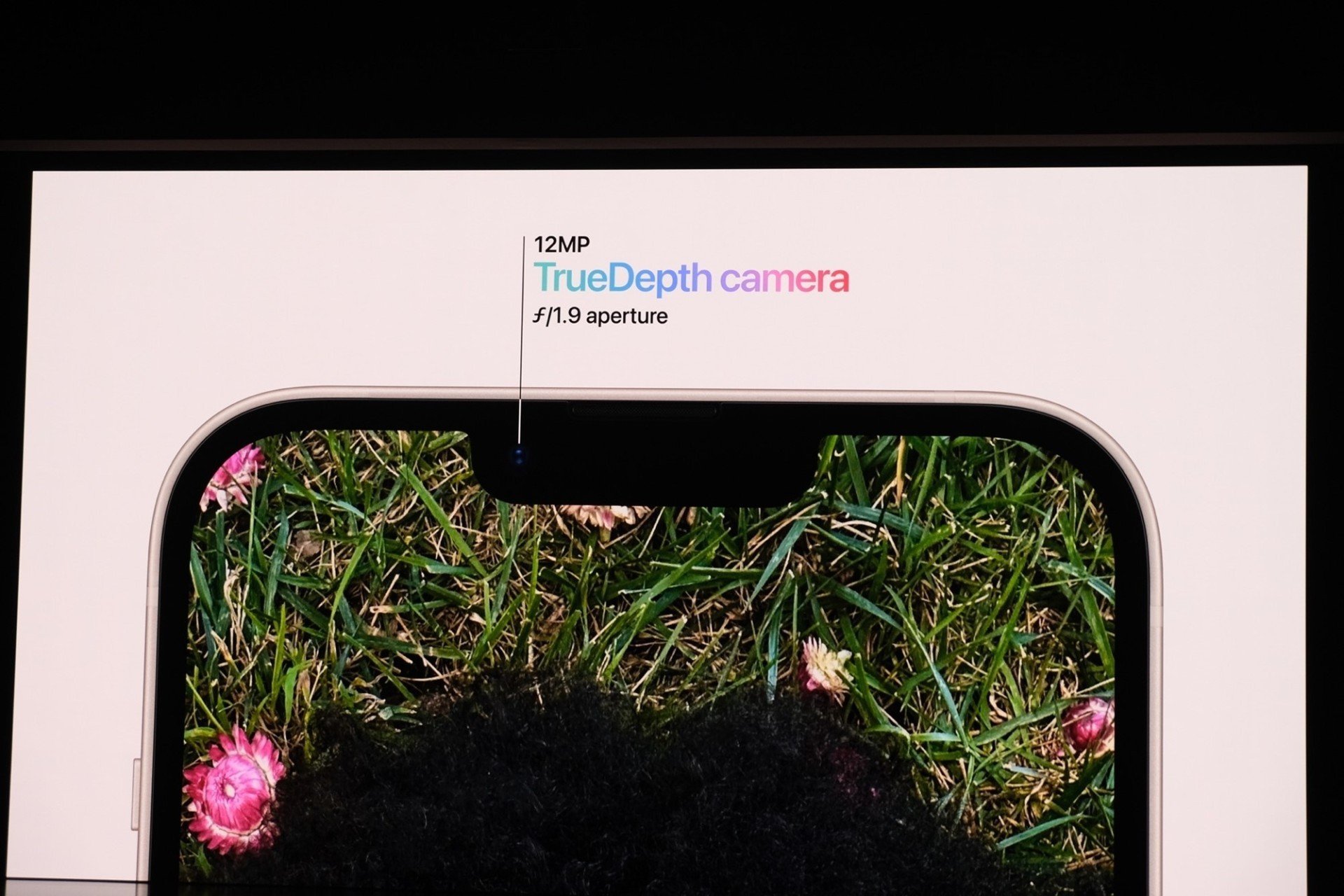 Что показали на презентации Apple  iPhone 14 Apple Watch Series 8 и AirPods 2