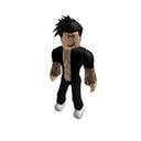 Все стили в Roblox