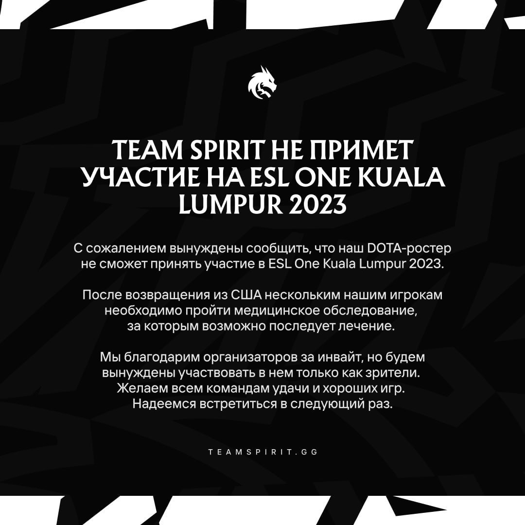 Источник: Официальный канал Team Spirit в Telegram