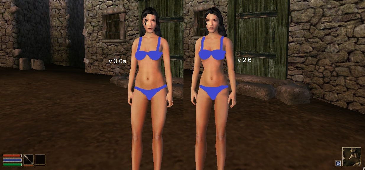 The Elder Scrolls 3: Morrowind