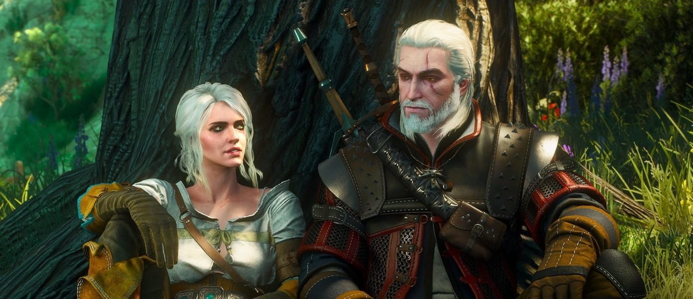 Источник: Witcher 3