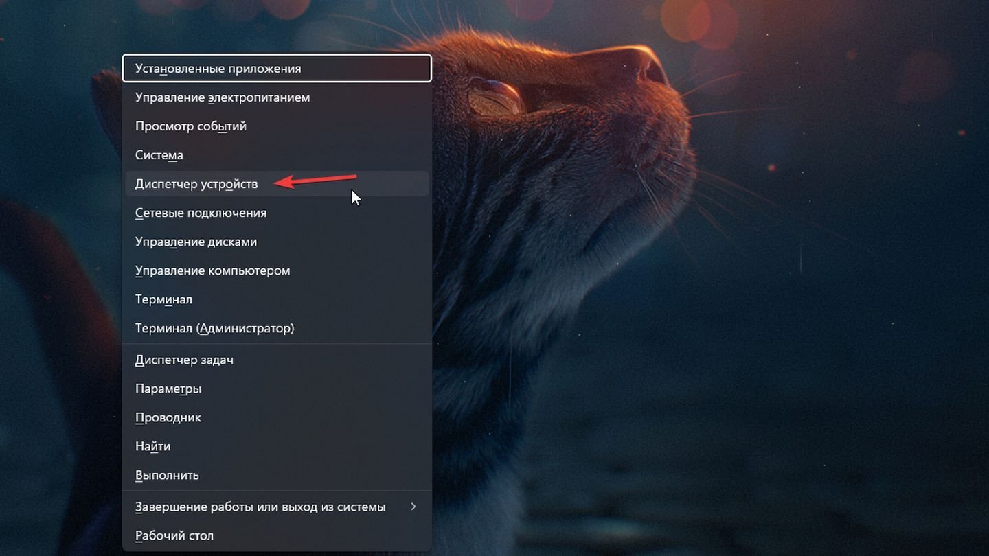 Источник: CQ / Windows 11