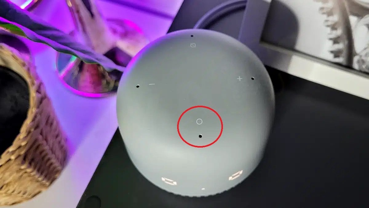Источник: Wifika / Включение Bluetooth на колонке