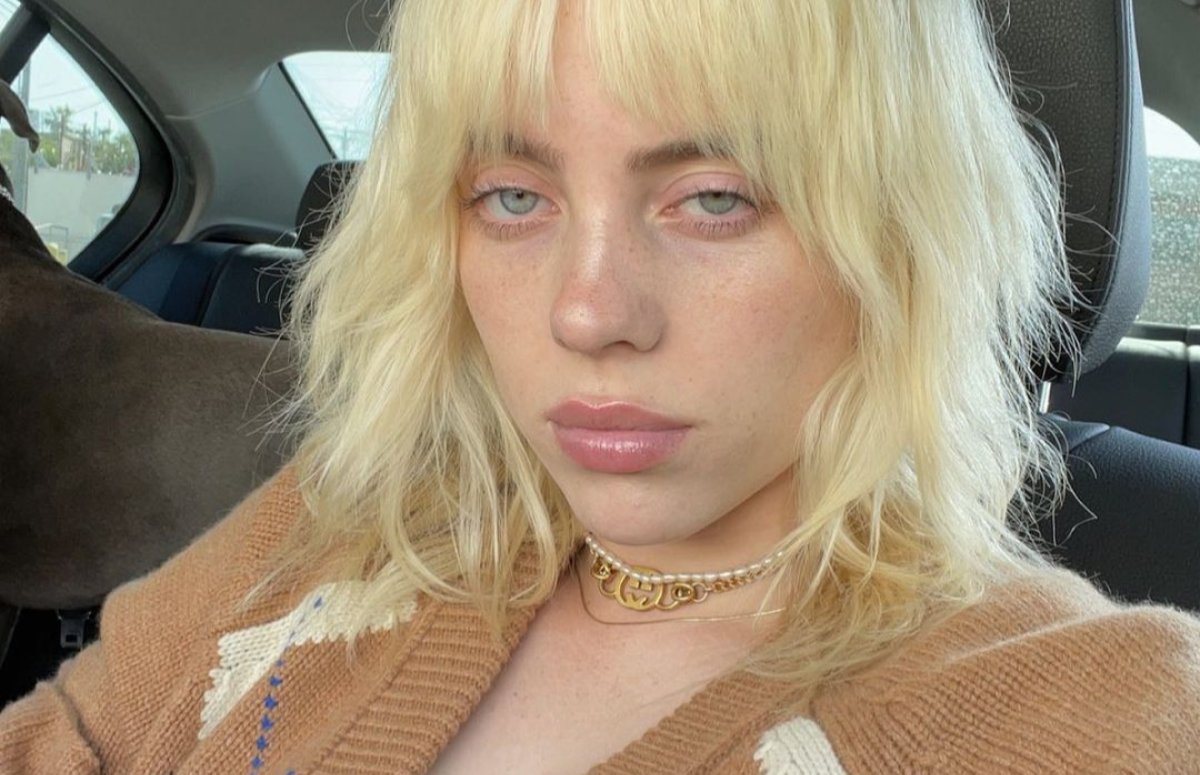 Источник: Соцсети Билли Айлиш