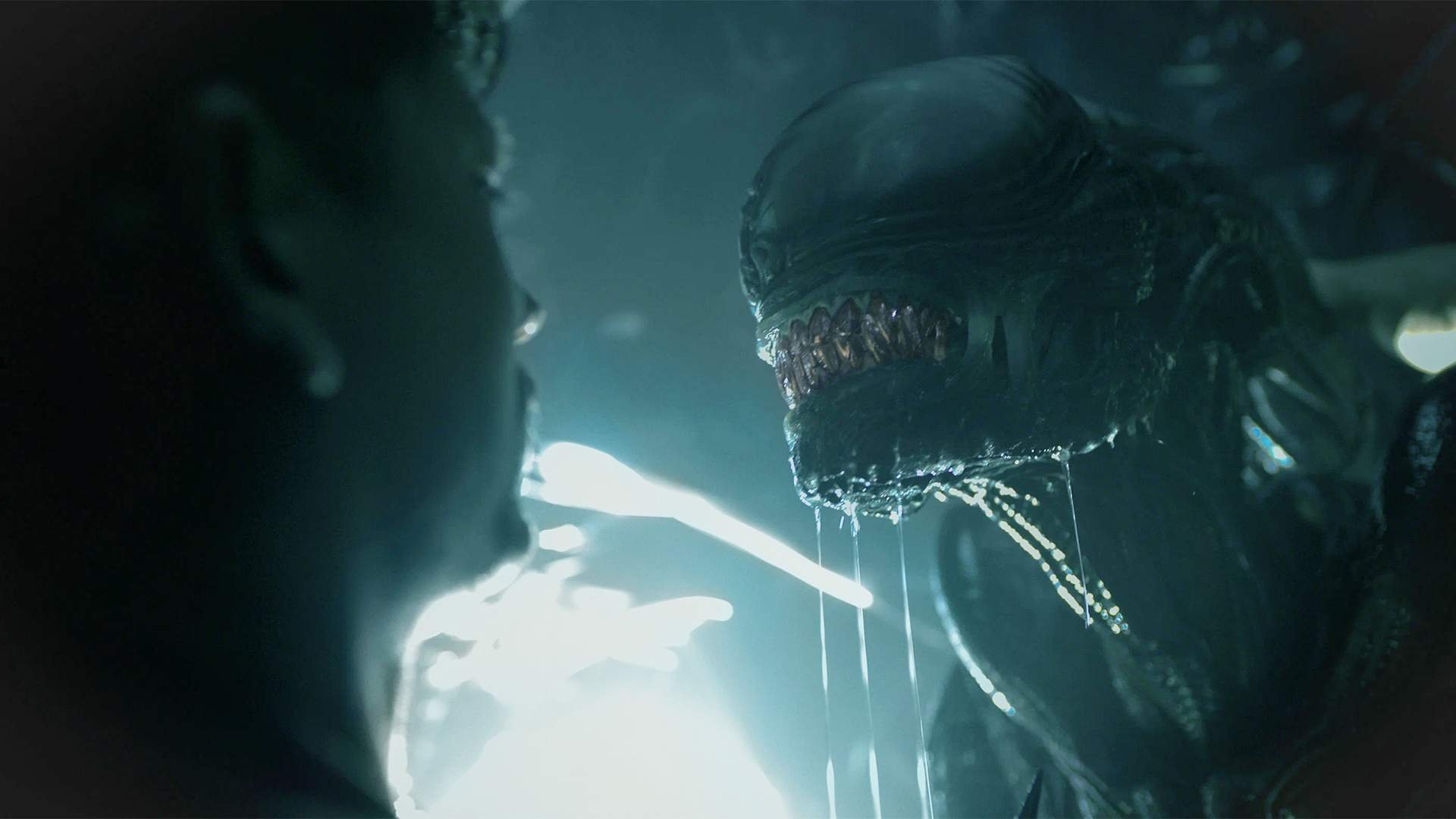 Источник: «Чужой: Ромул» / Кадр из фильма