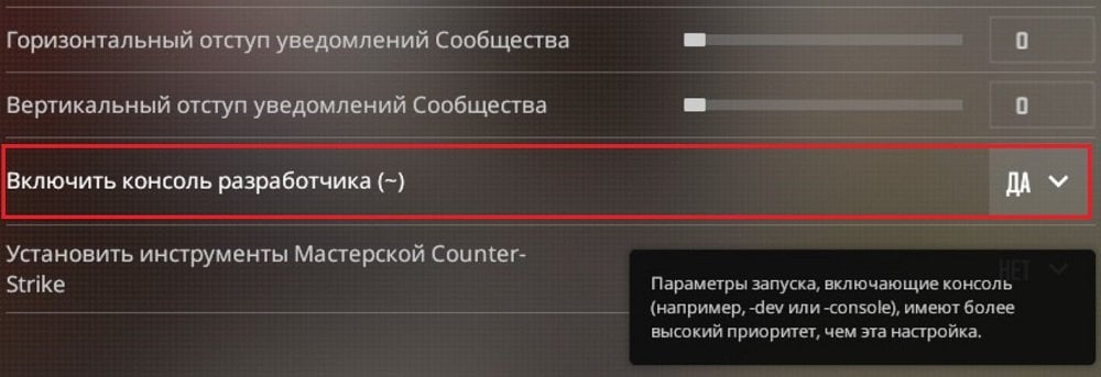 Источник: steamcommunity.com / Активация консоли в настройках CS2