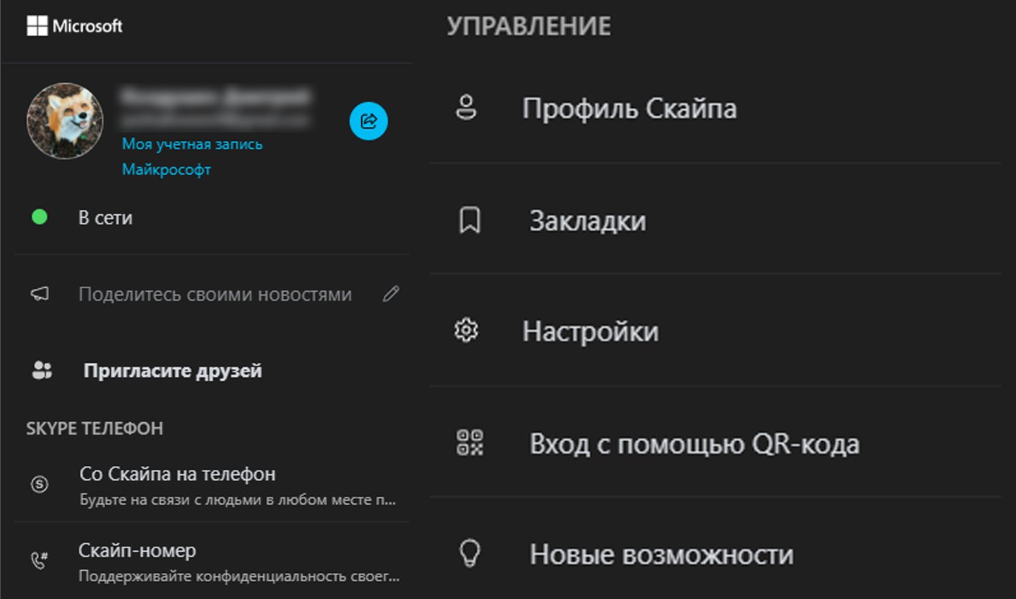 Источник: Skype / Возможности в Skype