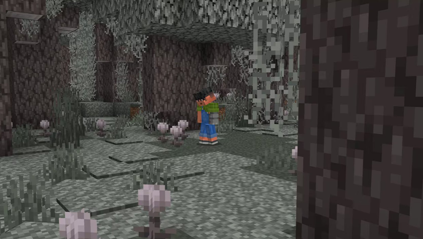 Источник: Minecraft Blog / «Бледный сад»