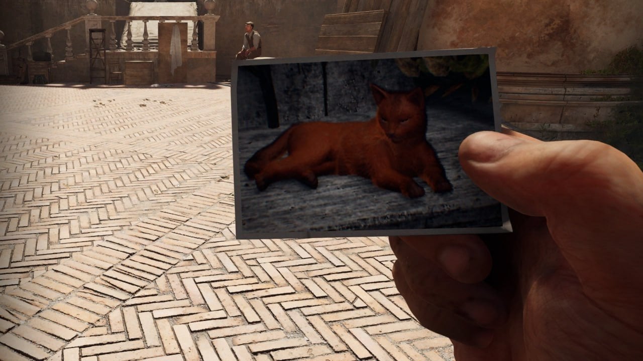 В Indiana Jones and the Great Circle можно получить бонусный опыт благодаря котам