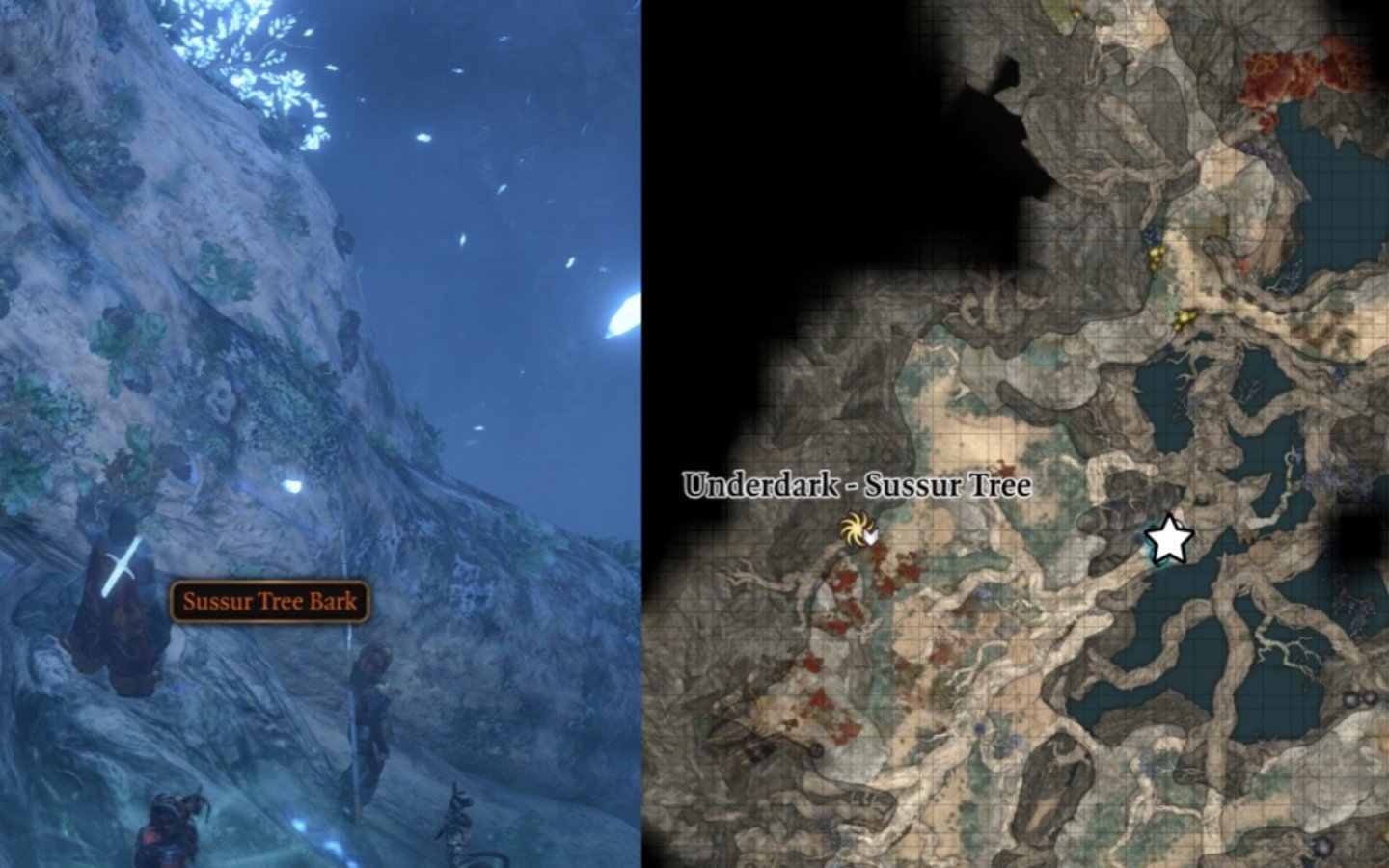 Источник: Polygon / Baldur's Gate 3
