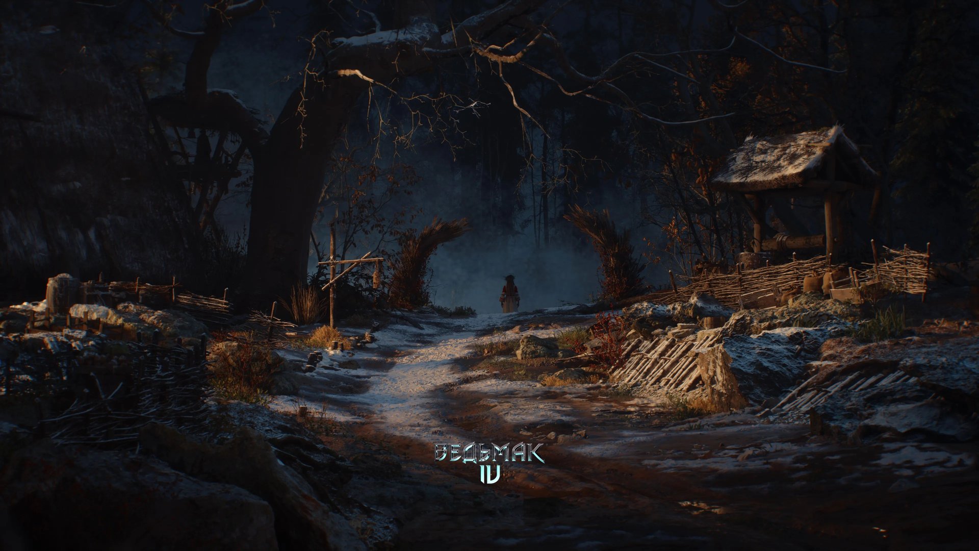Источник: CDPR / Арт The Witcher 4