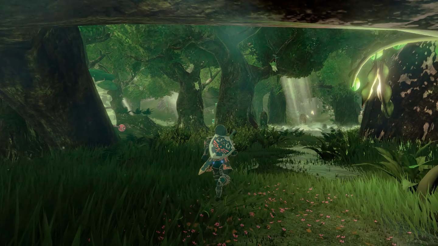 Legend of Zelda Breath Of The Wild