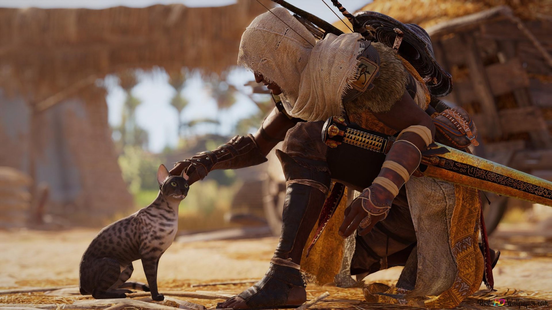 Источник: Assassin's Creed Origins / главный герой игры гладит кота