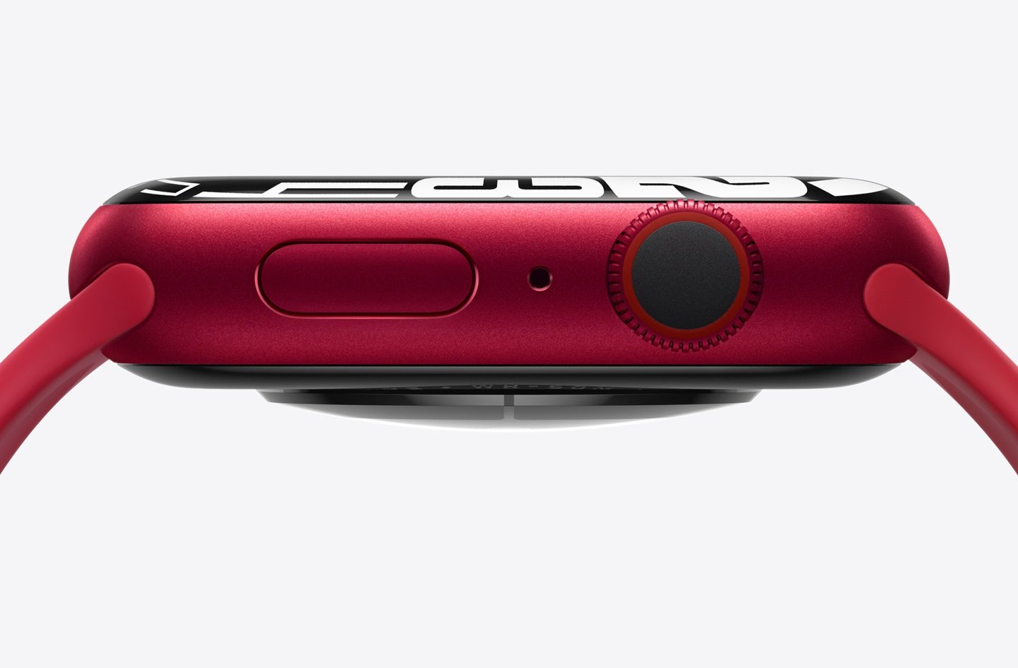 Apple Watch / Источник: Apple