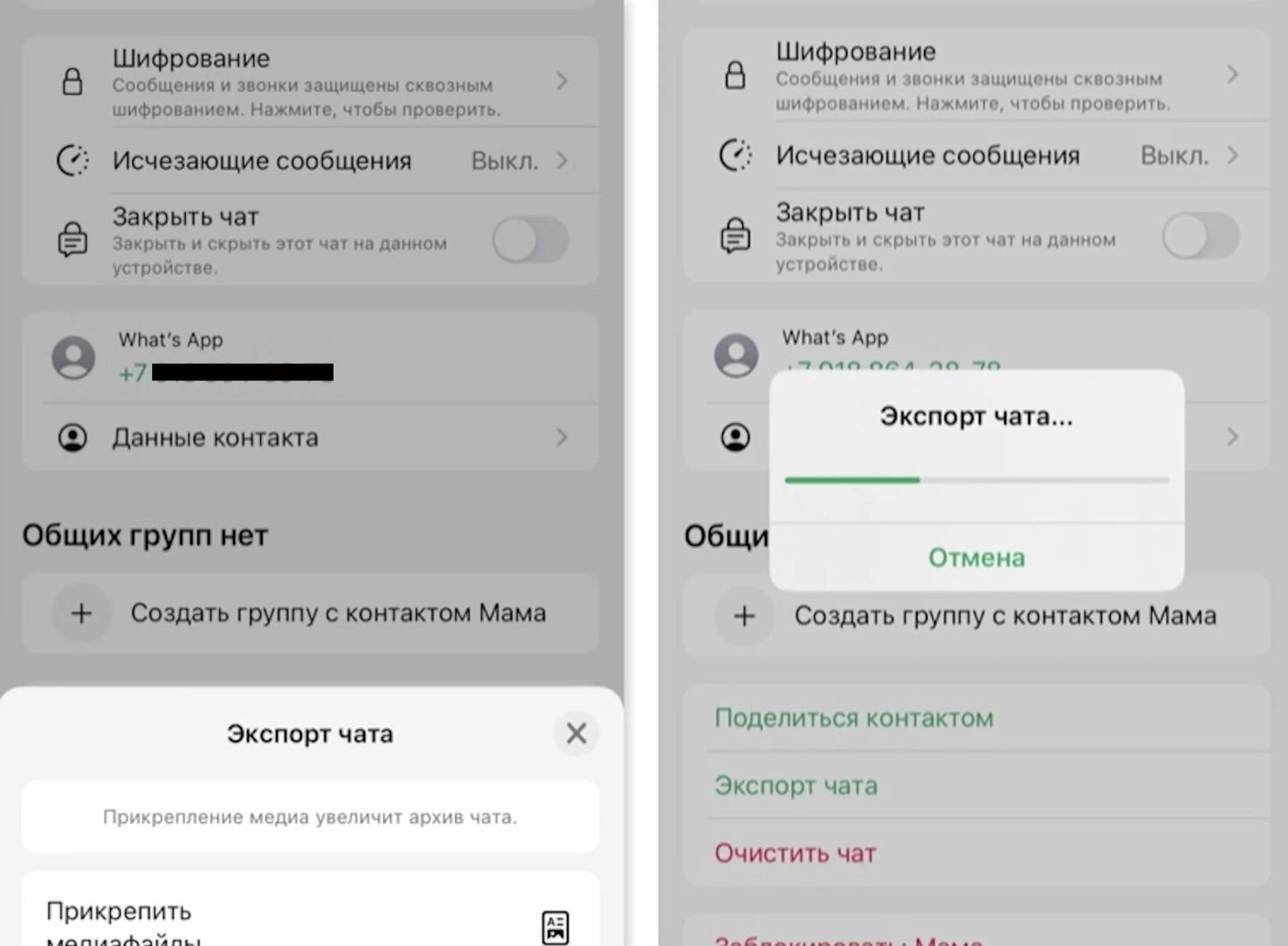 Источник: СQ / Интерфейс iPhone