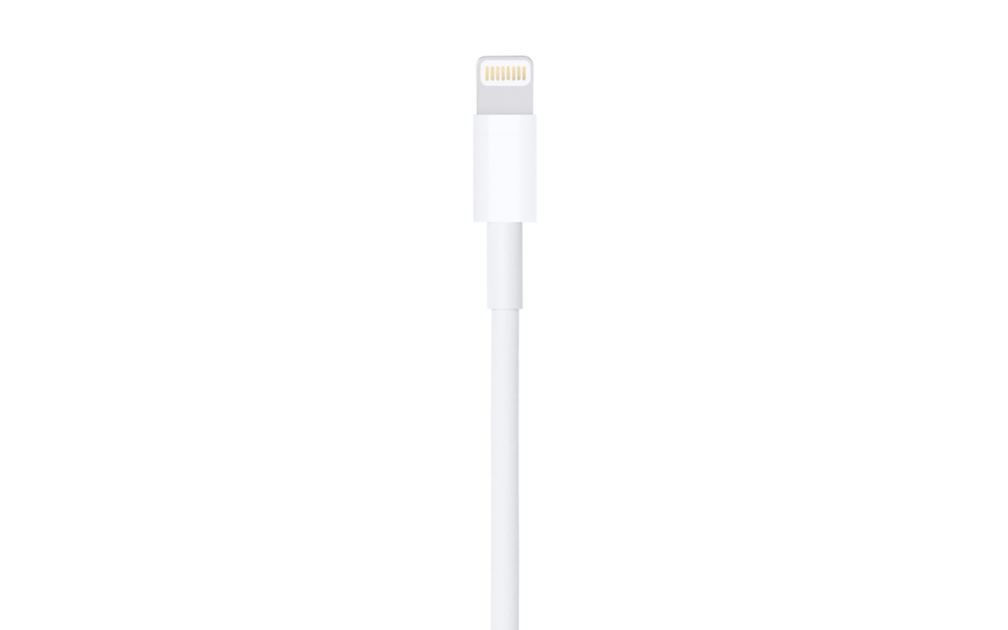 Источник: Apple / Lightning