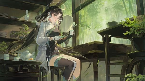 Источник: zerochan / Цзяньсинь из Wuthering Waves