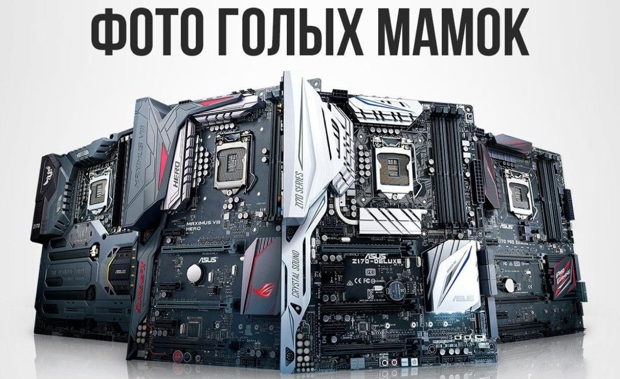 Источник: flectone.ru / Материнские платы
