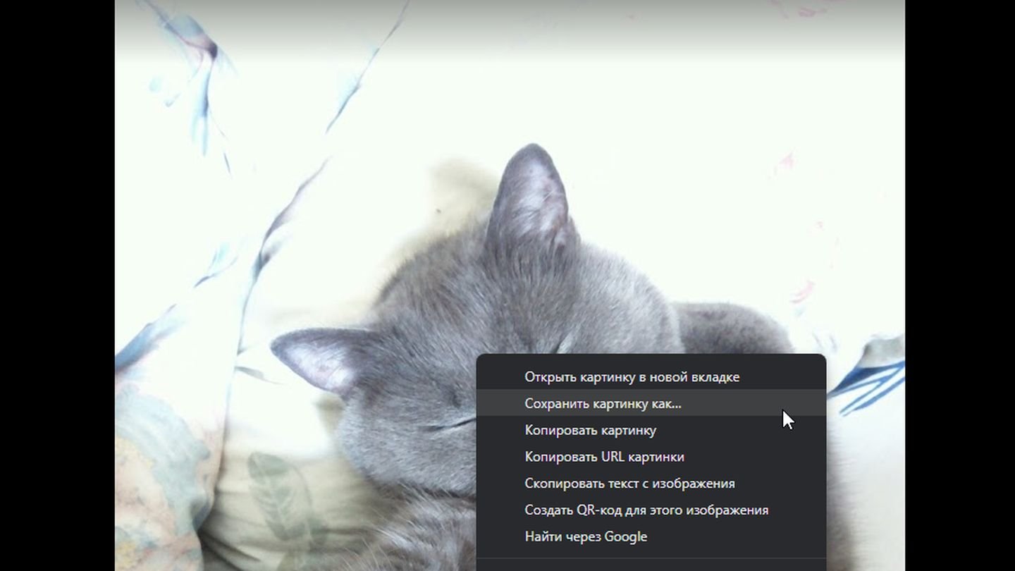 Источник: CQ / Google Photos