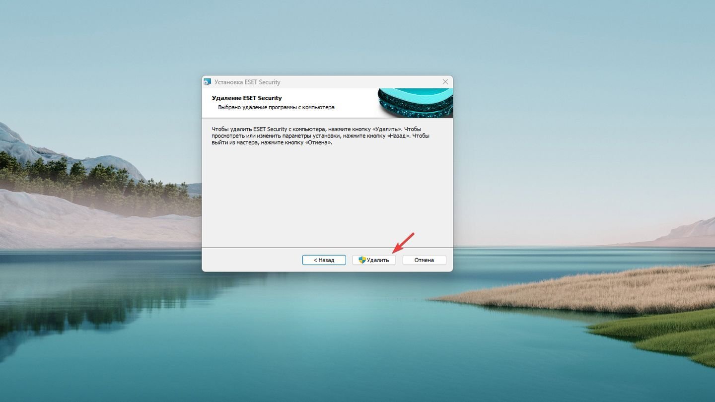 Источник: CQ / Windows 11
