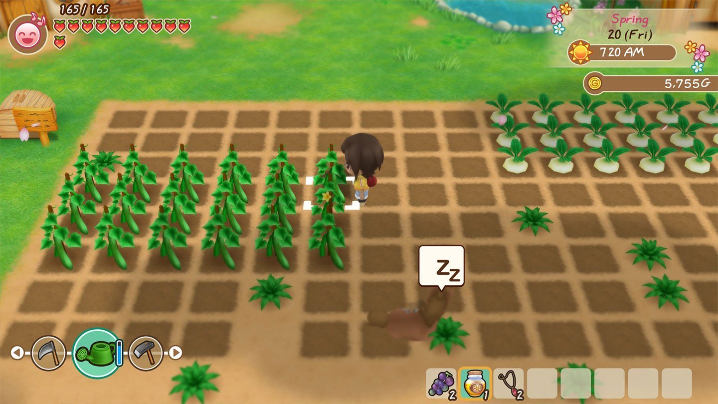 Источник: Steam / Интерфейс Story Of Seasons: Friends Of Mineral Town