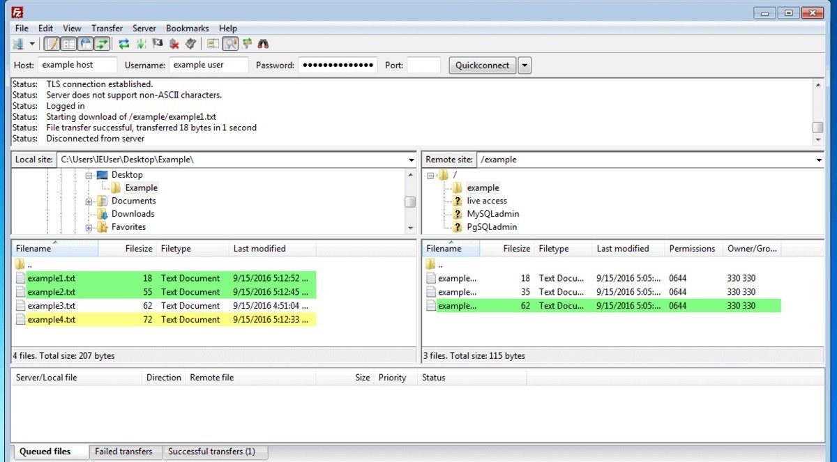 Источник: Ionos / Приложение FileZilla