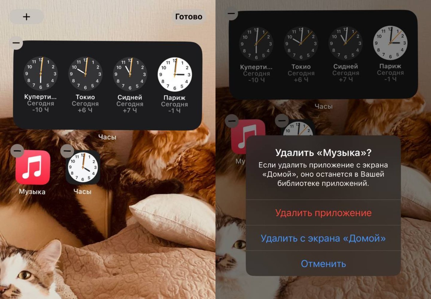 Источник: CQ / Настройки iPhone