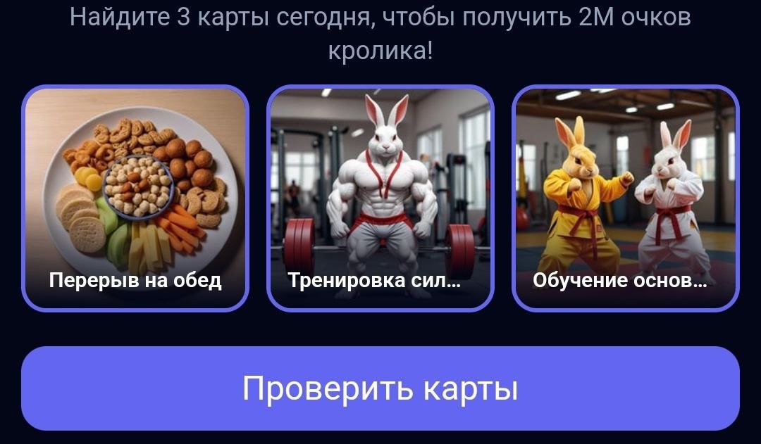 Комбо-карты Rocky Rabbit на 3-4 сентября