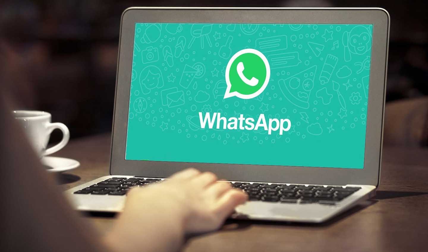 Источник: Playground / WhatsApp на ПК