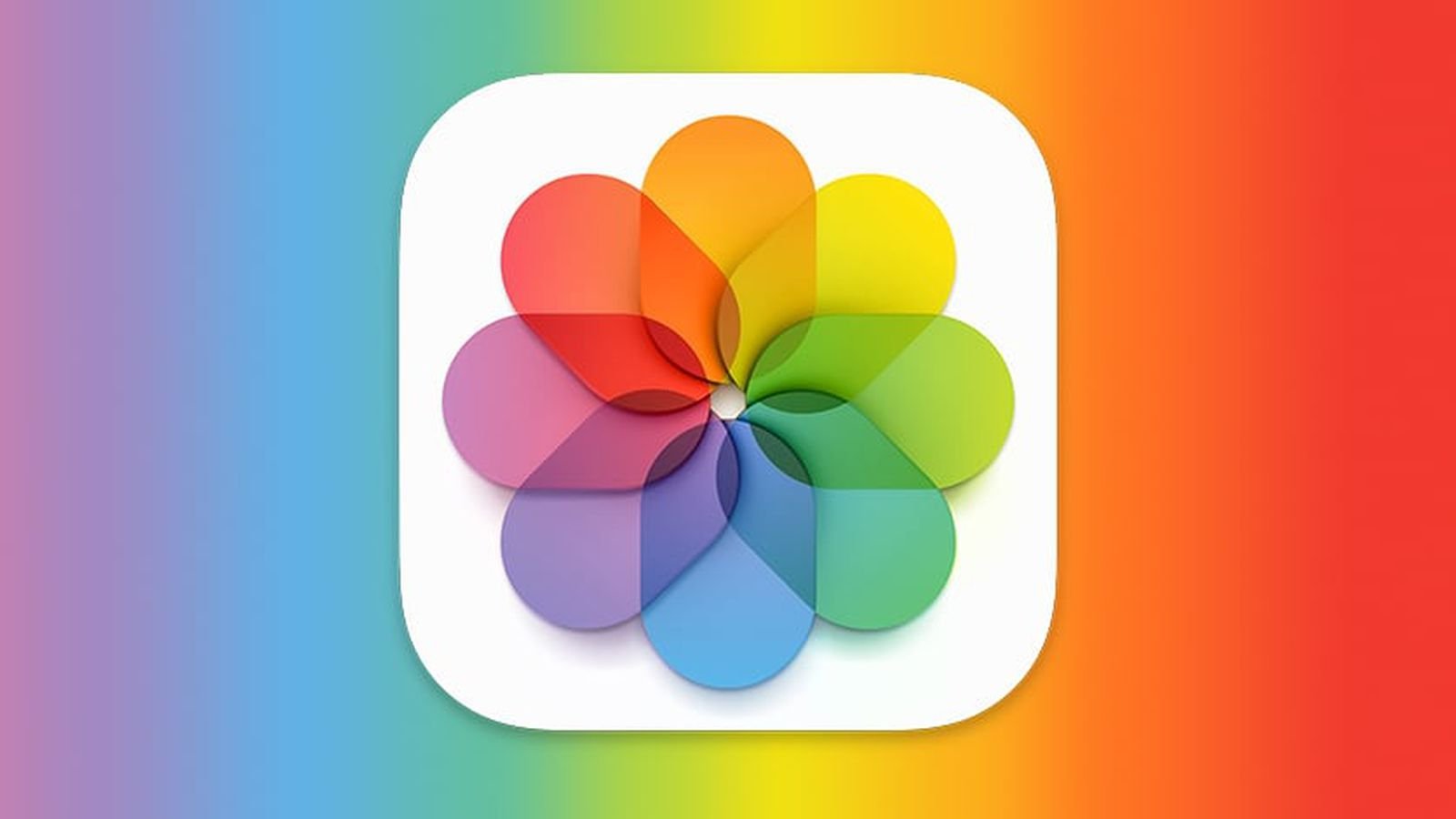 Источник: MacRumors / iCloud