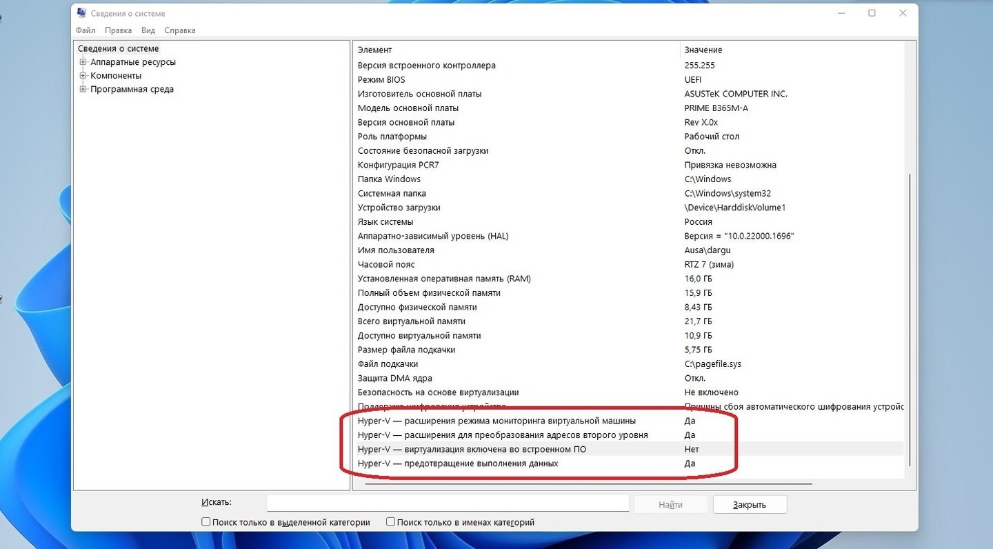 Источник: CQ / «Сведения о системе» в Windows