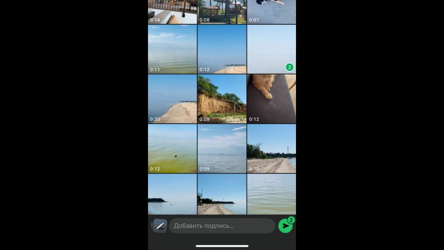 Источник: CQ / Настройки WhatsApp*